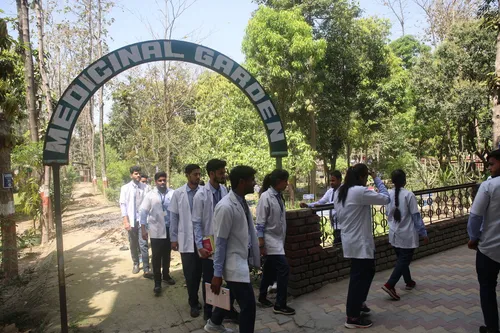 Medicinal Garden - Image 1